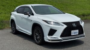 2019 Lexus RX300 F Sport