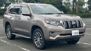 2020 Toyota Land Cruiser Prado TZ-G