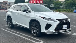 2020 Lexus RX300 F Sport