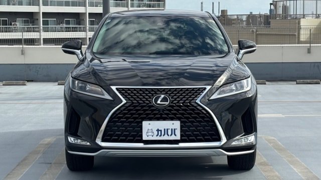 
								2020 Lexus RX 300 full									