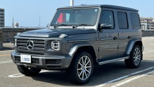 2019 Mercedes-Benz G-Class G350d AMG Line