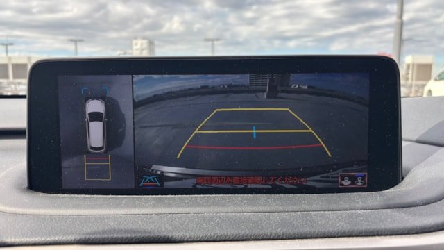 
								2020 Lexus RX 300 full									