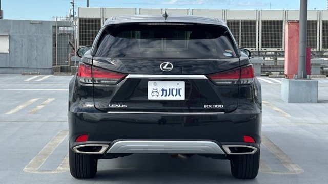 
								2020 Lexus RX 300 full									
