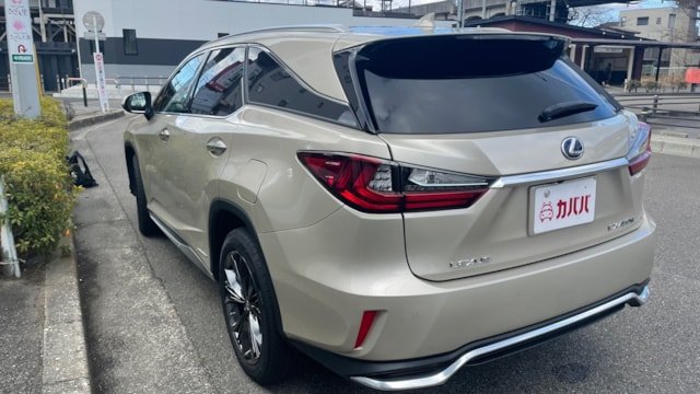 
								2019 Lexus RX 450hL full									