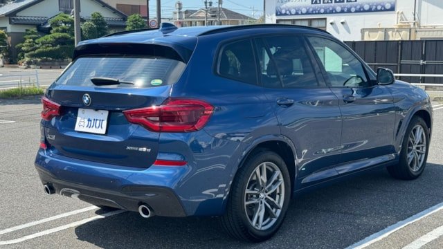 
								2019 BMW X3 xDrive 20d M Sport full									