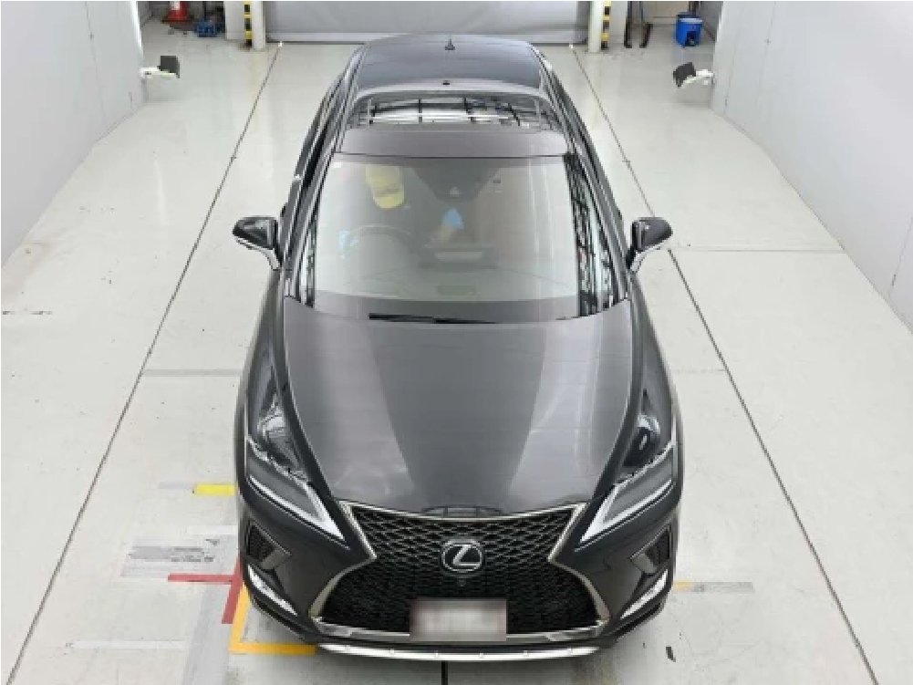 2021 Lexus RX300 F Sport