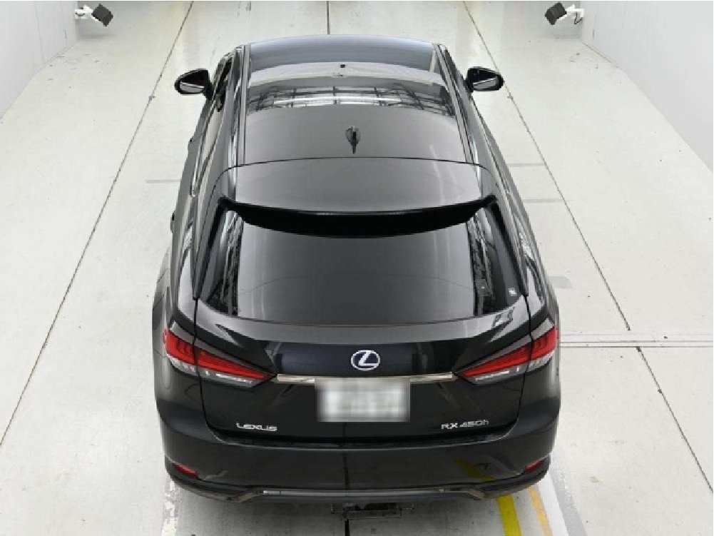 
								2019 Lexus RX450h F Sport full									