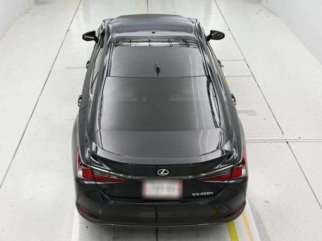 
								2023 Lexus ES300h F Sport full									