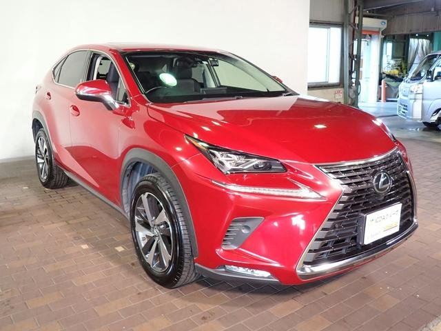 2020 Lexus NX300 I Package