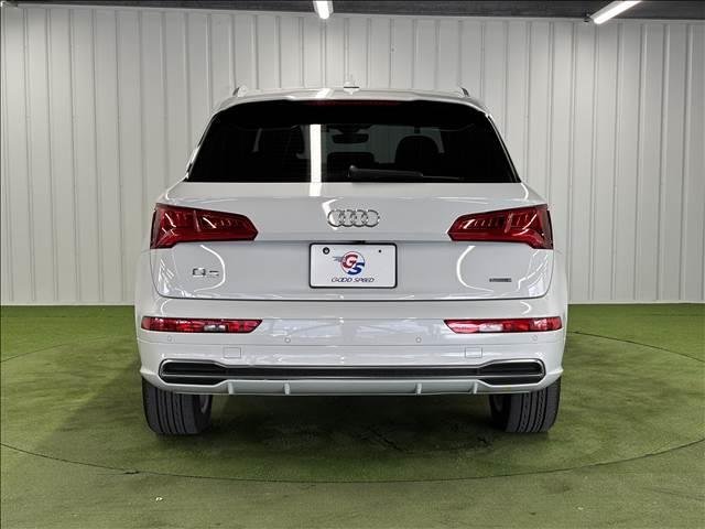 
								2019 Audi Q5 40TDI Quattro Sport full									