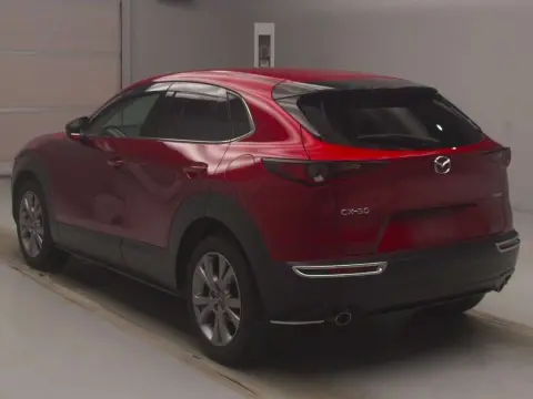 
								2019 MAZDA CX-30 20S PROACTIVE TOURING SELECTION full									